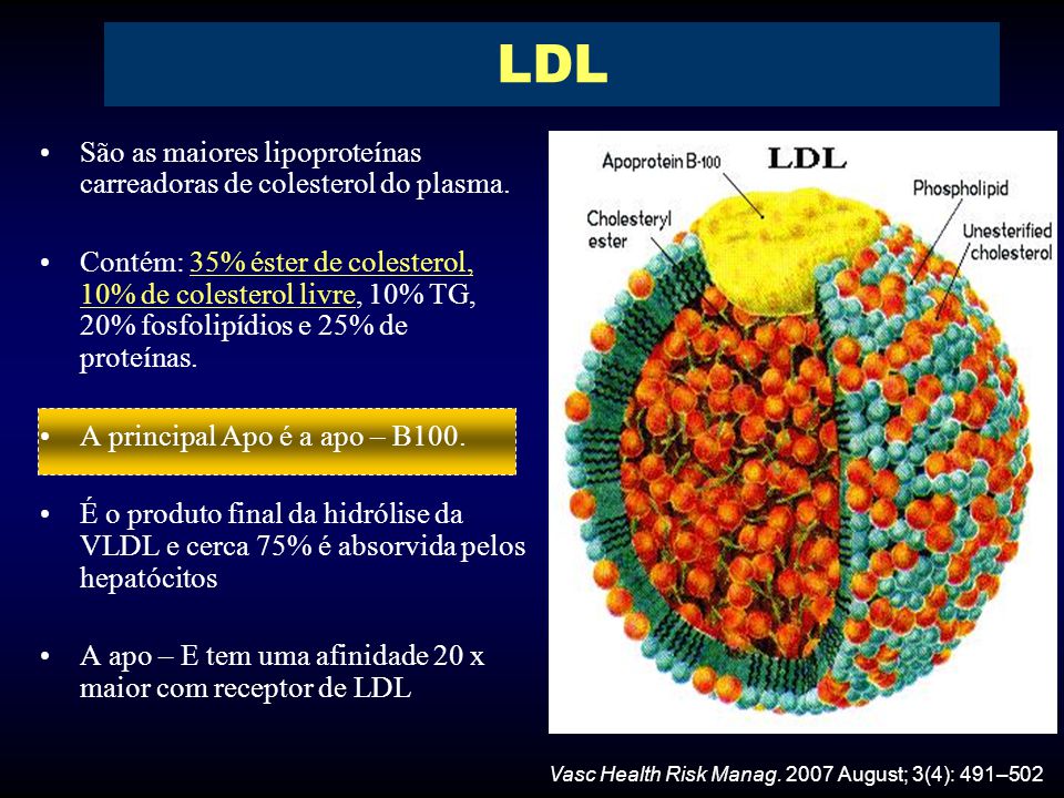 Aula Dislipidemia Semiologia Médica 58 OFF